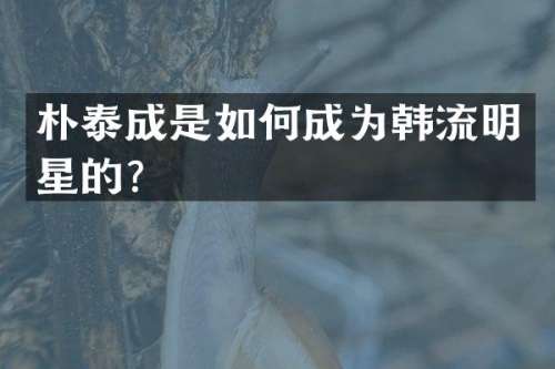 朴泰成是如何成为韩流明星的？
