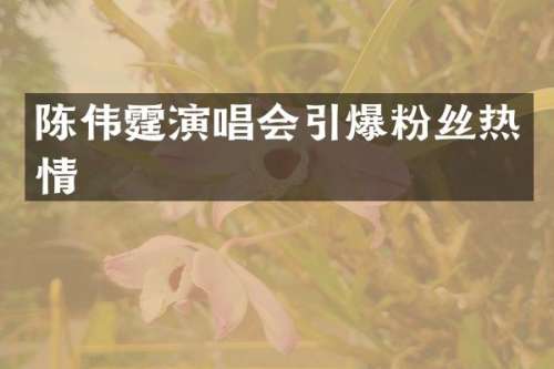 陈伟霆演唱会粉丝热情
