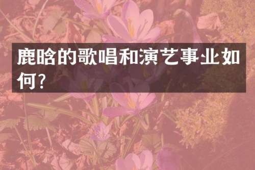 鹿晗的歌唱和演艺事业如何？