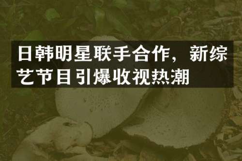 日韩明星联手合作，新综艺节目收视热潮