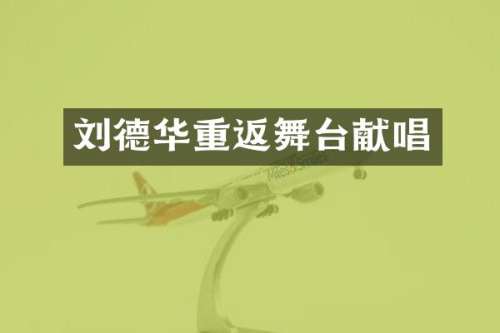 刘德华重返舞台献唱