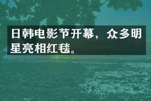 日韩电影节开幕，众多明星亮相红毯。