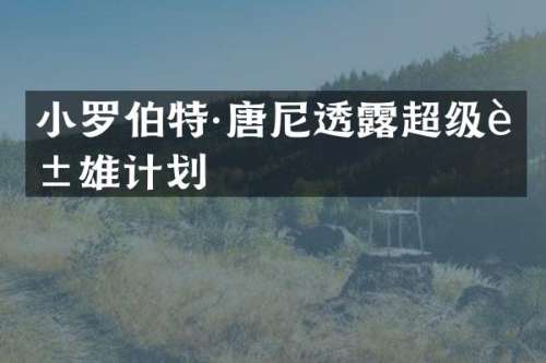 小罗伯特·唐尼透超级英雄计划