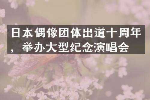 日本偶像团体出道十周年，举办大型纪念演唱会