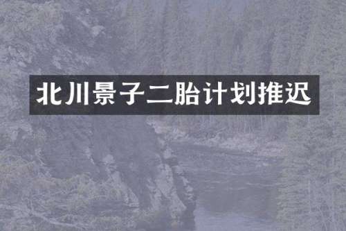 北川景子二胎计划推迟