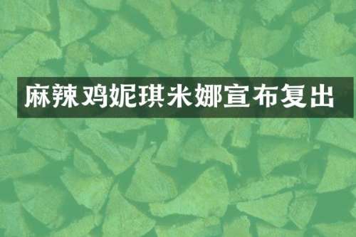 麻辣鸡妮琪米娜宣布复出