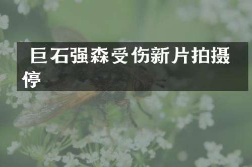  巨石强森受伤新片拍摄暂停