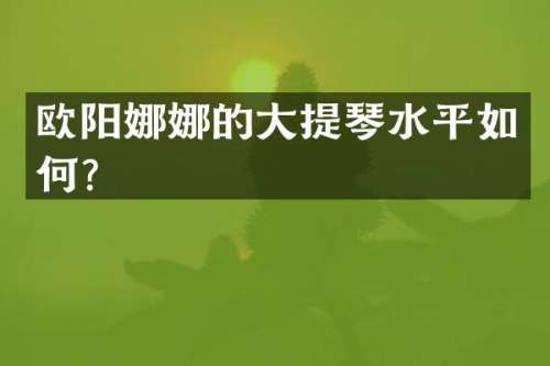 欧阳娜娜的大提琴水平如何？