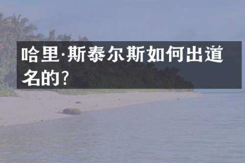 哈里·斯泰尔斯如何出道成名的？