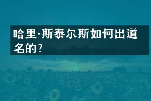 哈里·斯泰尔斯如何出道成名的？
