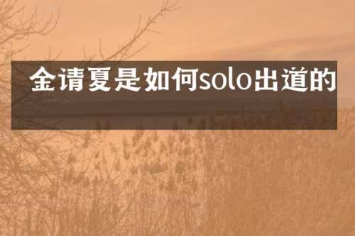  金请夏是如何solo出道的？