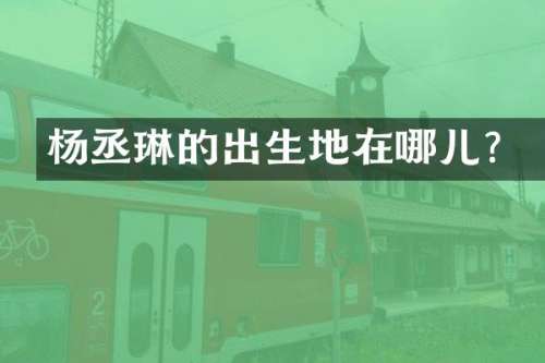 杨丞琳的出生地在哪儿？