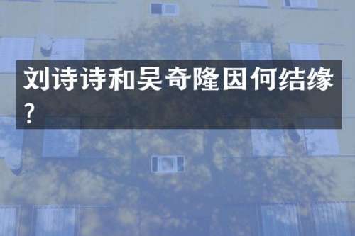 刘诗诗和吴奇隆因何结缘？