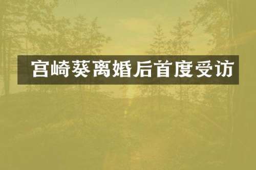  宫崎葵离婚后首度受访