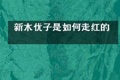  新木优子是如何走红的？