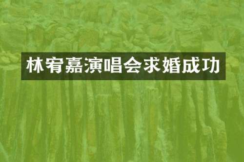 林宥嘉演唱会求婚成功