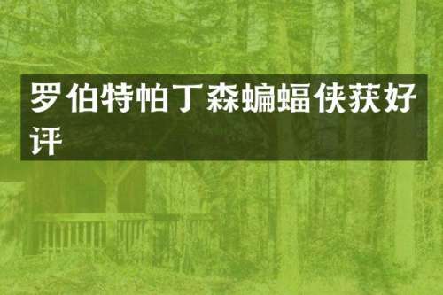 罗伯特帕丁森蝙蝠侠获好评