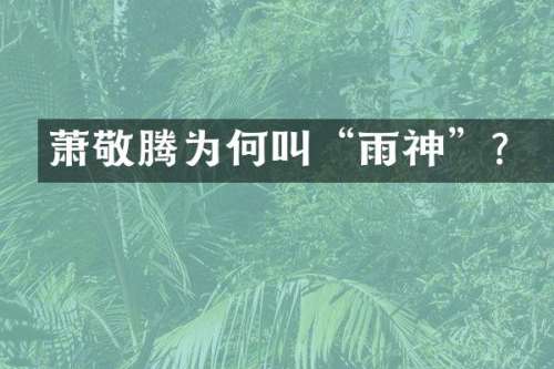 萧敬腾为何叫“雨神”？