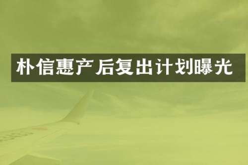 朴信惠产后复出计划曝光