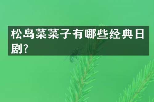 松岛菜菜子有哪些经典日剧？